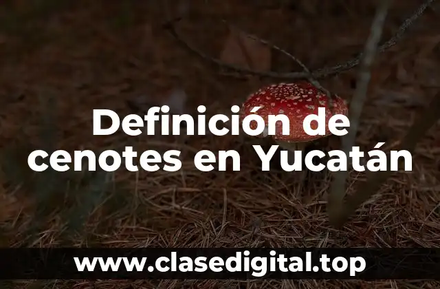 Ejemplos de cenotes en Yucatán