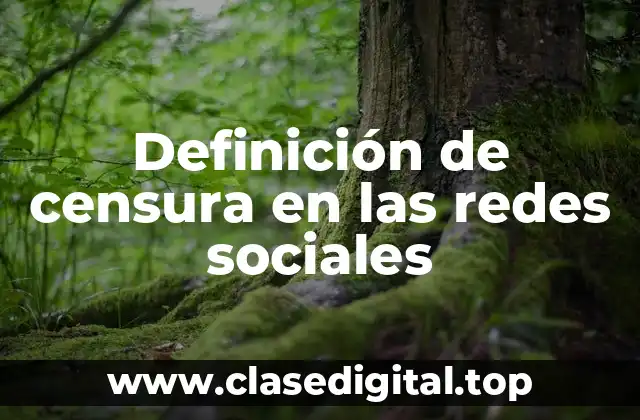 Definición de censura en las redes sociales