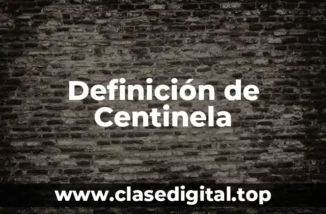 Definición de Centinela