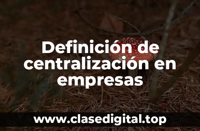 Definición de centralización en empresas