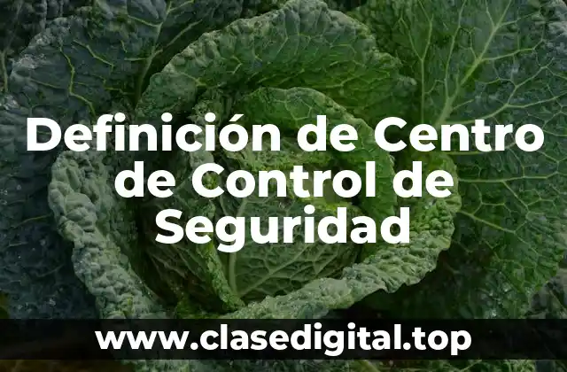 Definición de Centro de Control de Seguridad