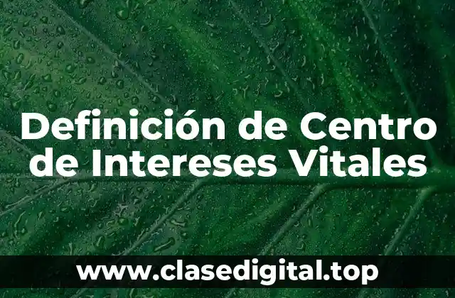 Definición de Centro de Intereses Vitales