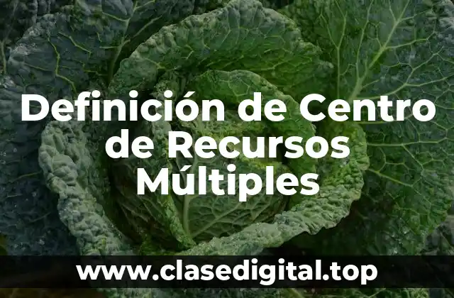 Definición de Centro de Recursos Múltiples