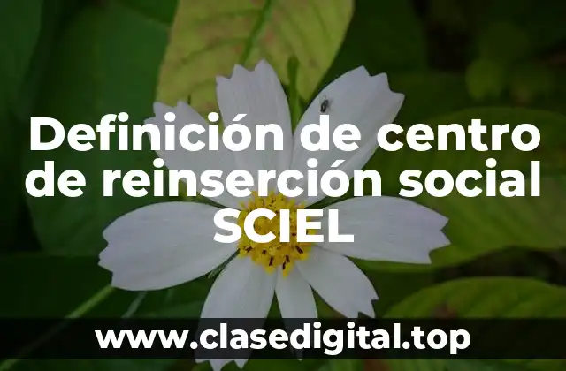 Definición de centro de reinserción social SCIEL