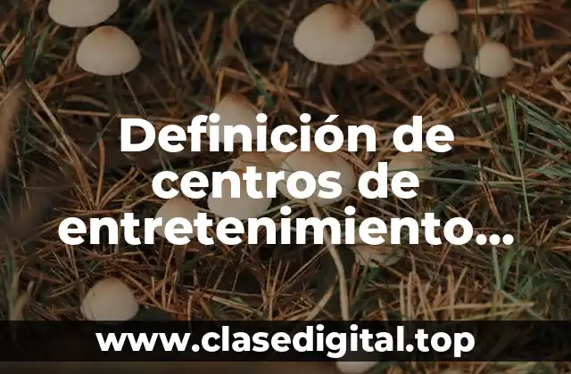 Definición de centros de entretenimiento turísticos
