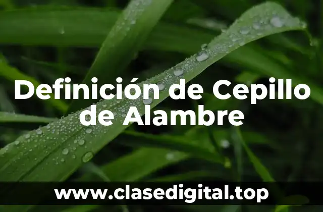 Definición de Cepillo de Alambre