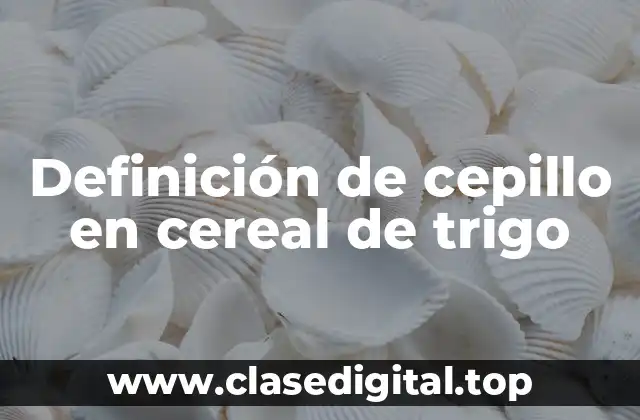 Definición de cepillo en cereal de trigo