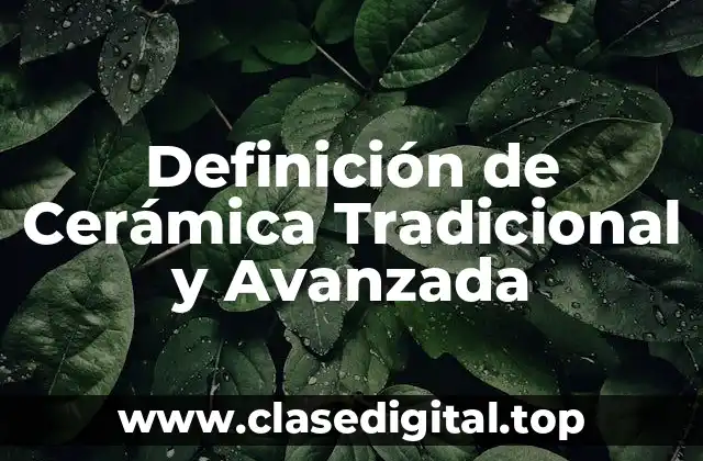 Ejemplos de Cerámica Tradicional y Avanzada