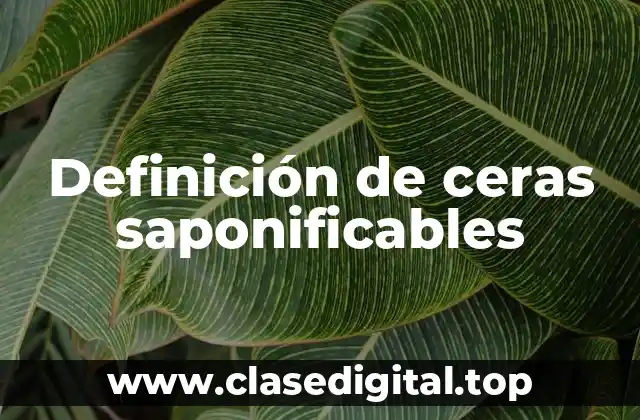 Ejemplos de ceras saponificables
