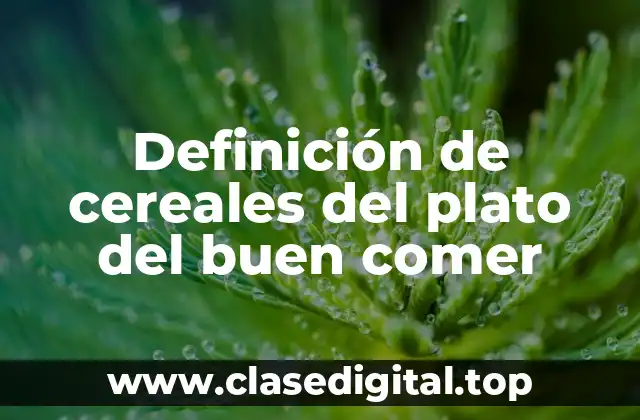 Definición de cereales del plato del buen comer