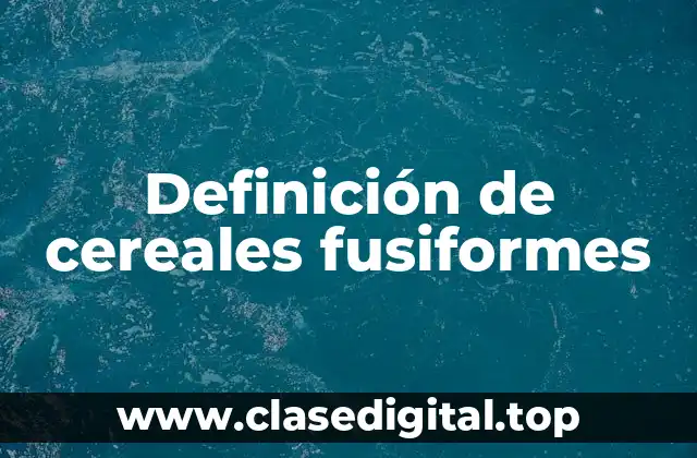 Definición de cereales fusiformes