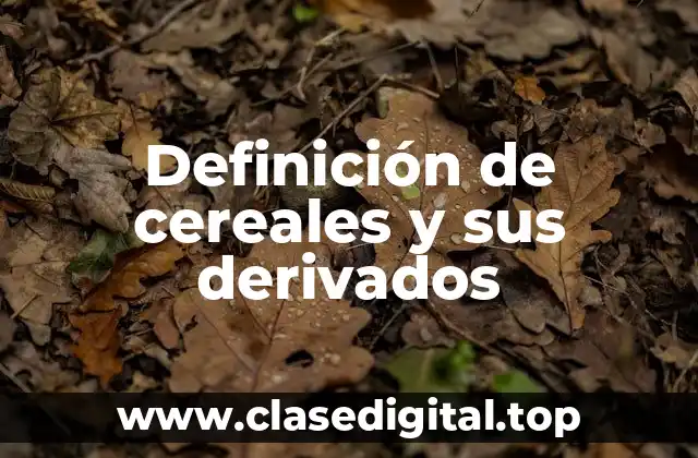 Definición de cereales y sus derivados