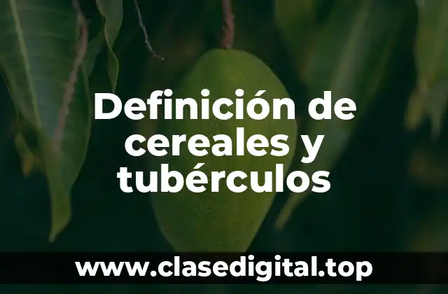Definición técnica de cereales y tubérculos