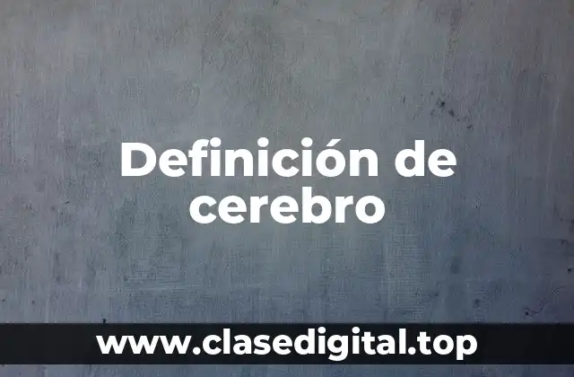 Definición de cerebro