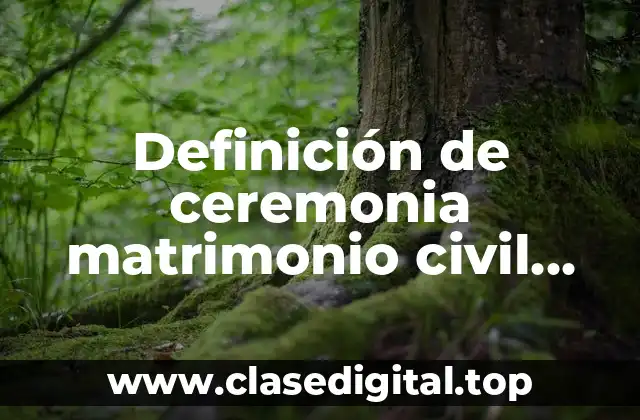 Definición de ceremonia matrimonio civil florida