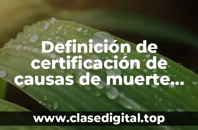 Definición de certificación de causas de muerte fetal