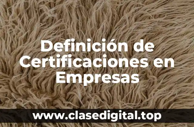 Ejemplos de Certificaciones en Empresas