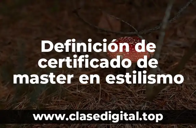 Definición de certificado de master en estilismo