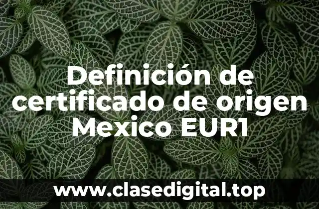 Definición de certificado de origen Mexico EUR1
