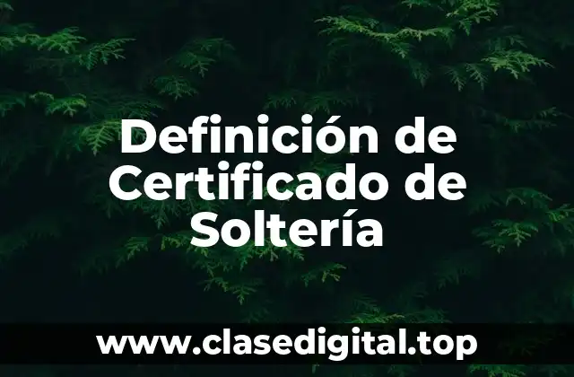 Ejemplos de Certificados de Soltería