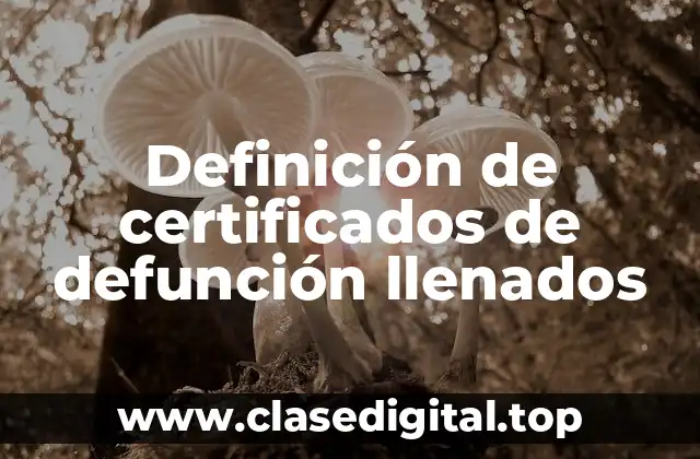 Definición de certificados de defunción llenados