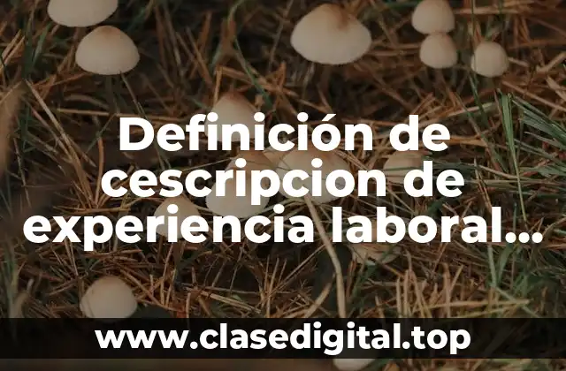 Ejemplos de cescripcion de experiencia laboral de supervisores de taller