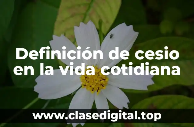 Definición de cesio en la vida cotidiana