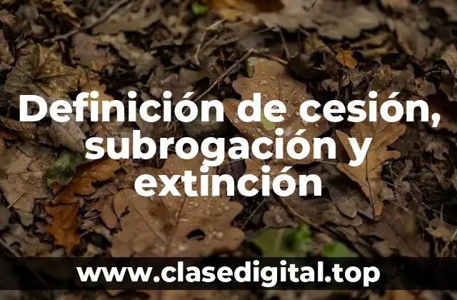 Definición de cesión, subrogación y extinción