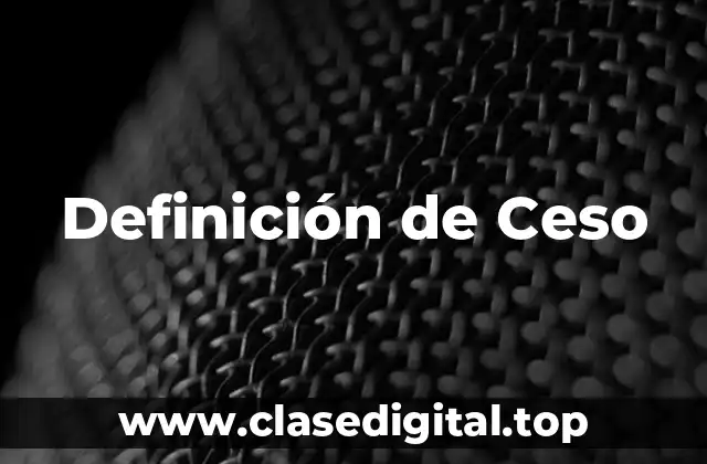 Definición de Ceso