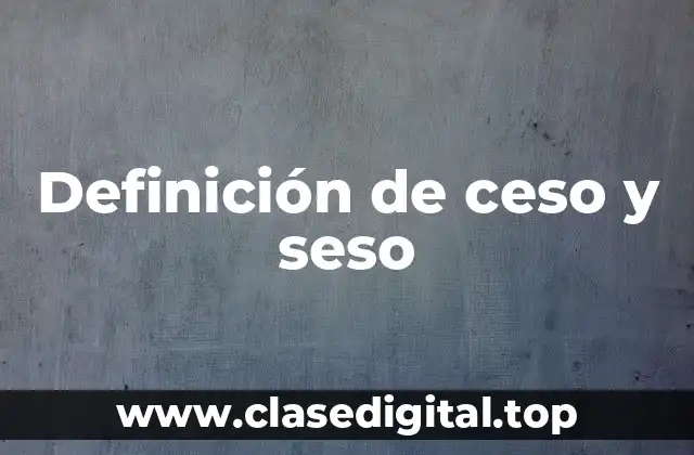 Definición de ceso y seso