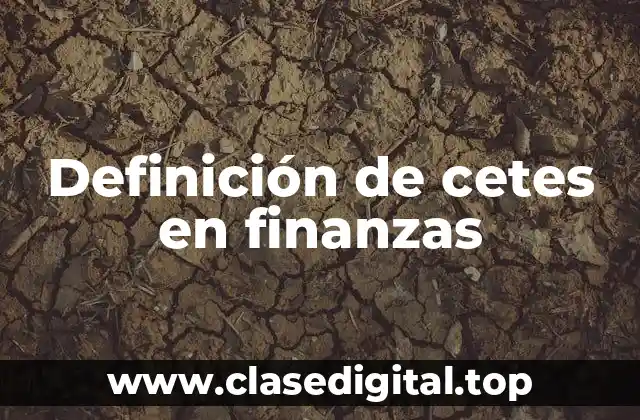 Definición de cetes en finanzas