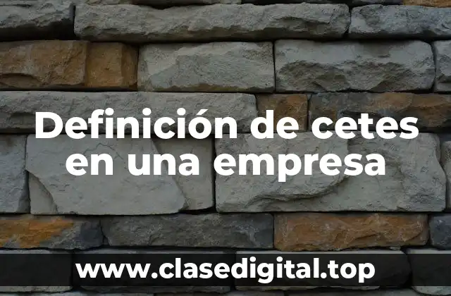 Definición de cetes en una empresa