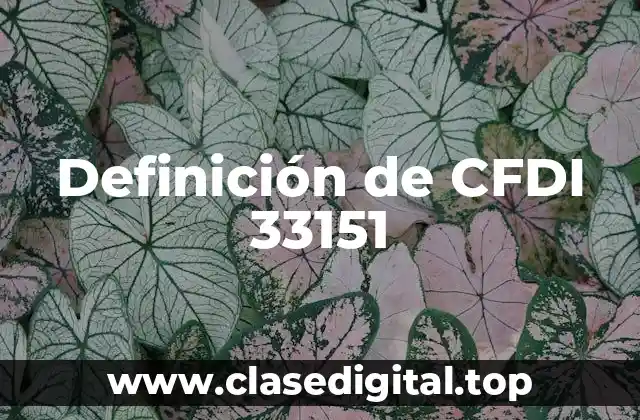 Definición de CFDI 33151