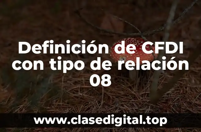 Definición de CFDI con tipo de relación 08