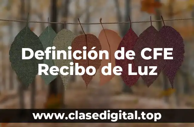 Definición de CFE Recibo de Luz