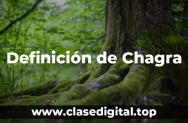 Definición de Chagra