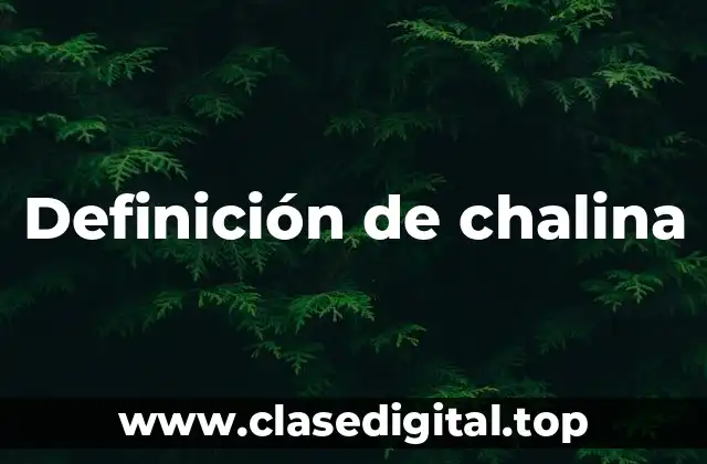 Definición de chalina