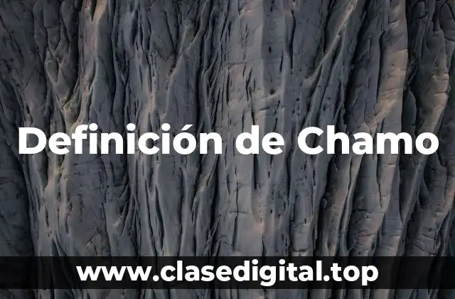 Definición de Chamo