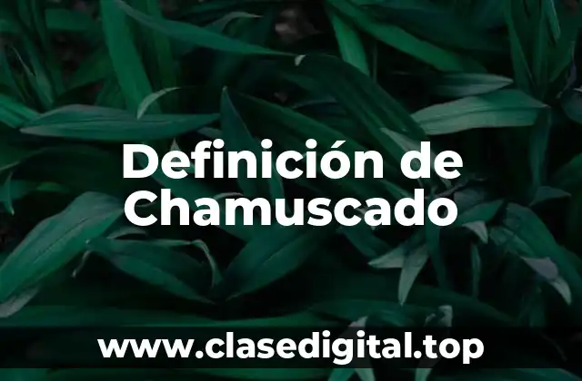 Definición de Chamuscado