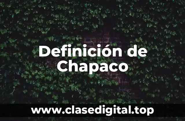 Definición de Chapaco