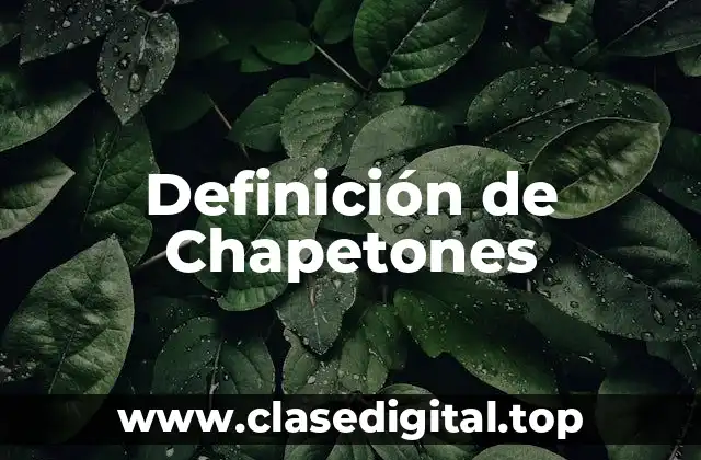 Definición de Chapetones