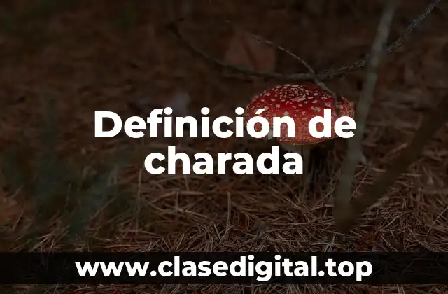 Definición técnica de charada