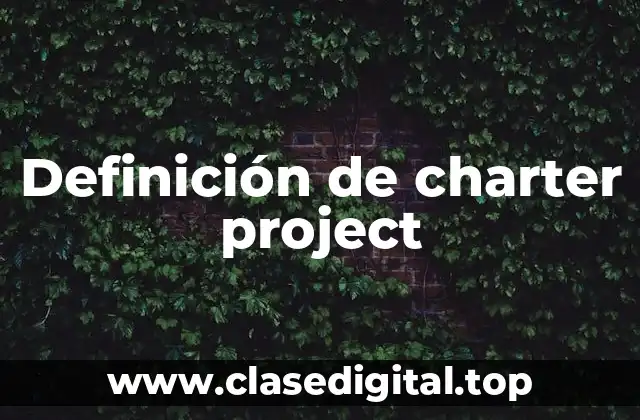 Definición de charter project