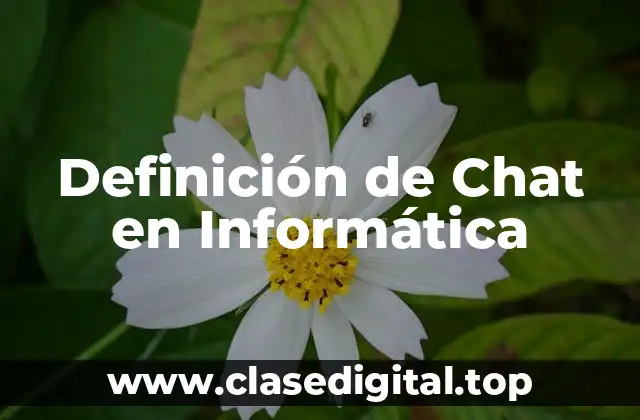 Definición de Chat en Informática