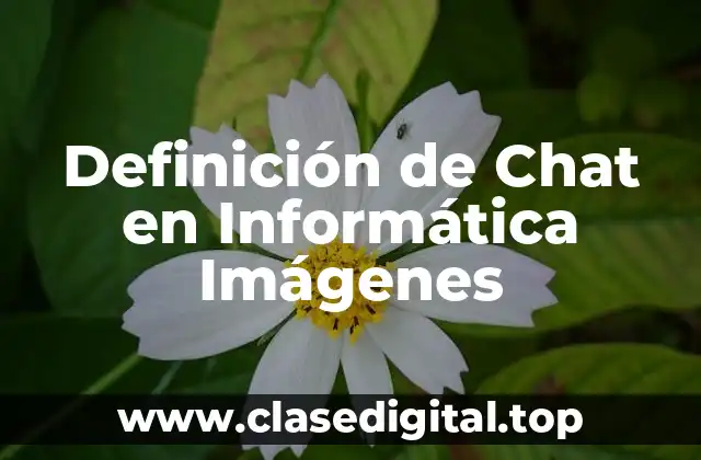Definición de Chat en Informática Imágenes