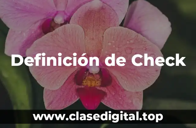 Definición de Check