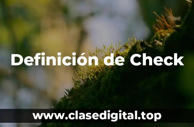 Definición técnica de Check-in