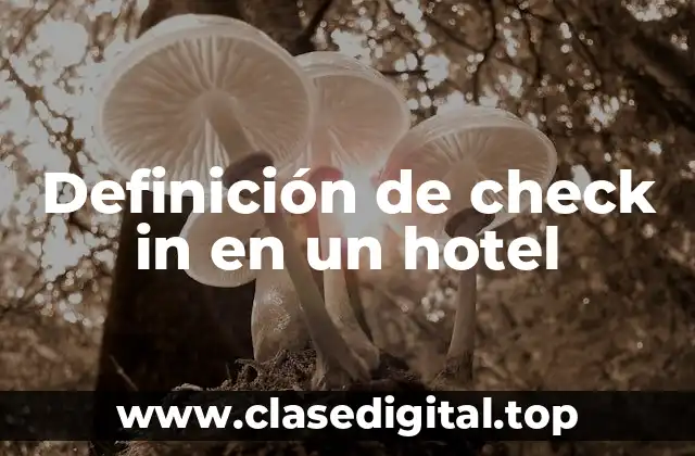 Definición de check in en un hotel