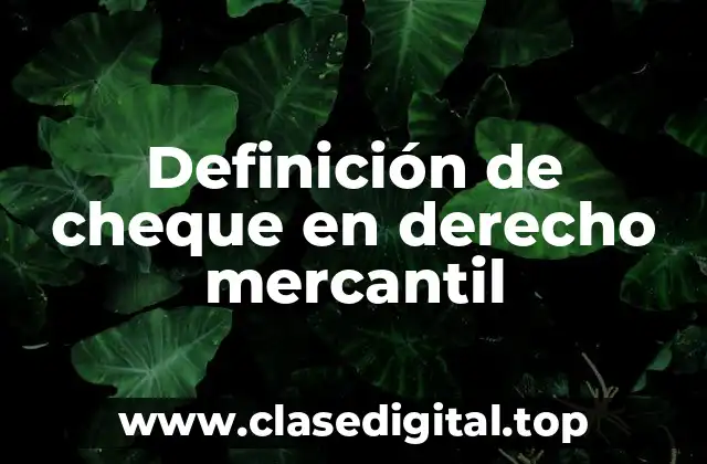 Definición técnica de cheque