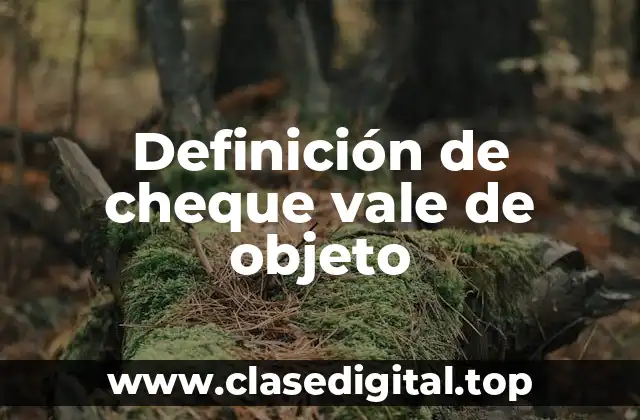 Definición de cheque vale de objeto